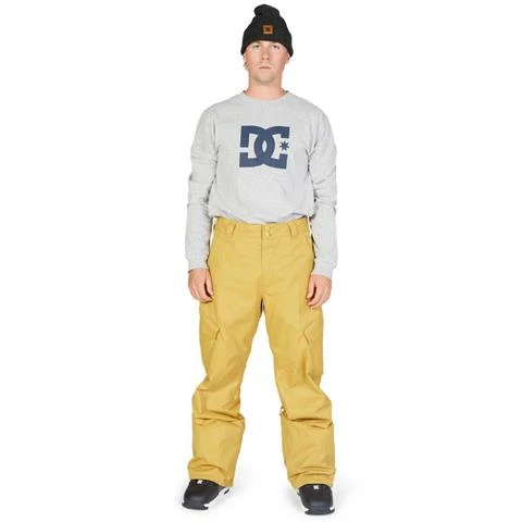 DC Shoes Men's Banshee Pants