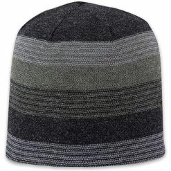 Pistil Chase Beanie
